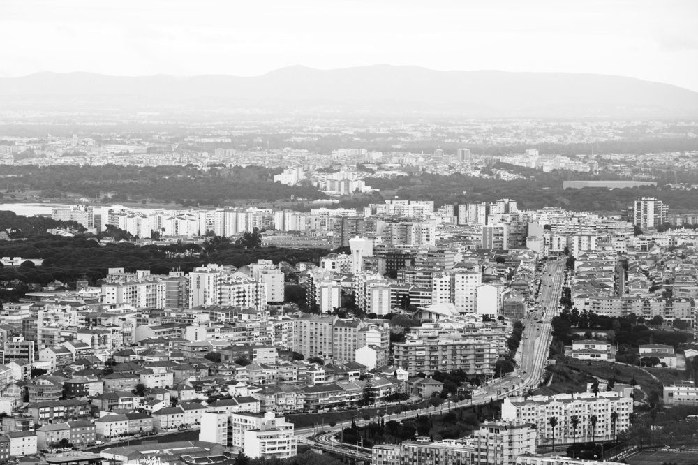 Photograph by Carlos Alberto Sequeira