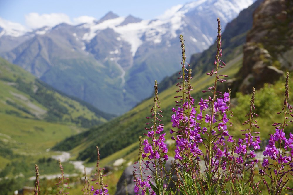 Красоты ущелья Терскол