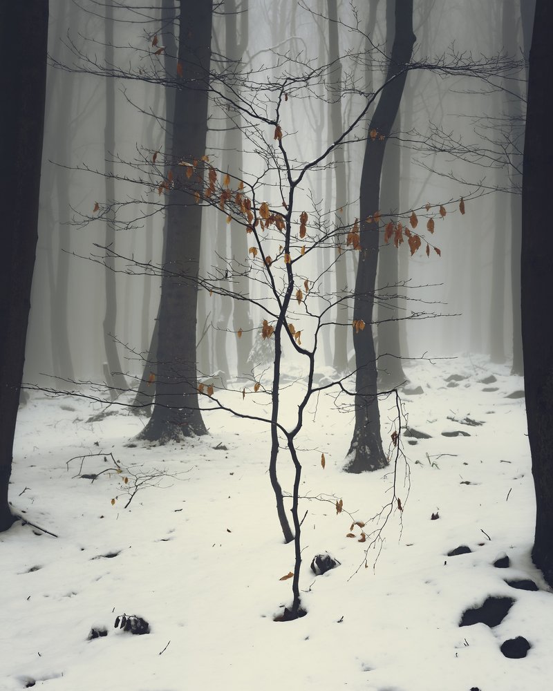 Photograph by Tomasz Myśliński