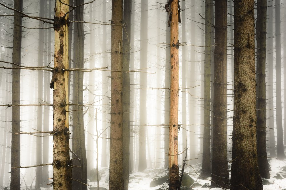 Photograph by Tomasz Myśliński