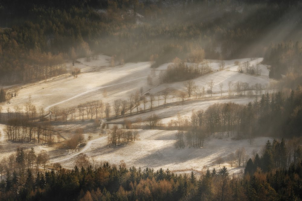 Photograph by Tomasz Myśliński