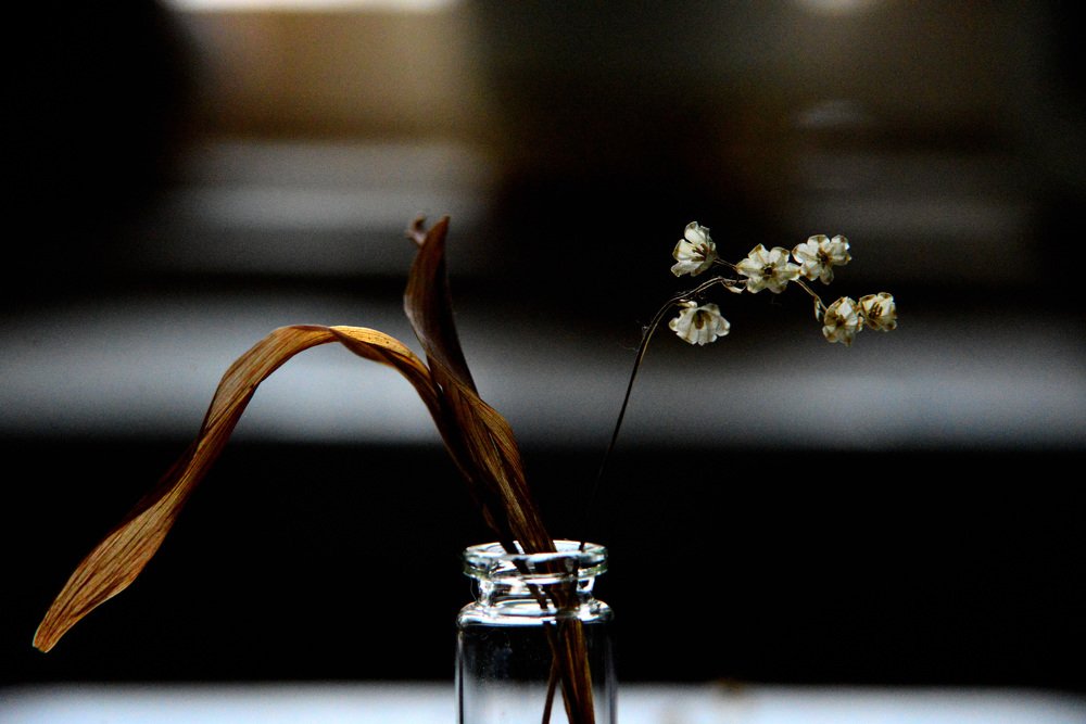 Photograph by Елена Парилова