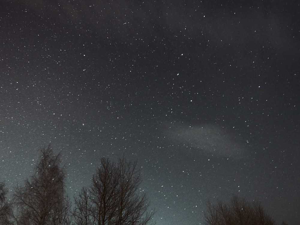 Photograph by Алексей Коротеев