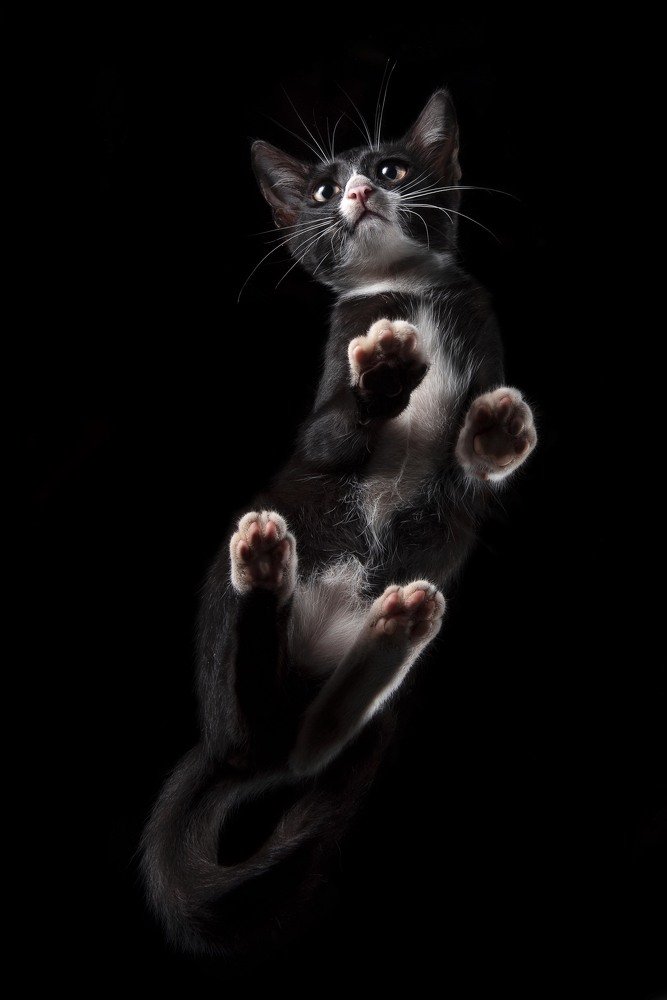 Photograph by  GW ANUJA LAVAN SOMARATHNE SILVA