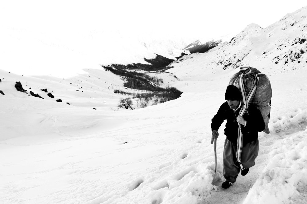 Photograph by Amir Garoosian