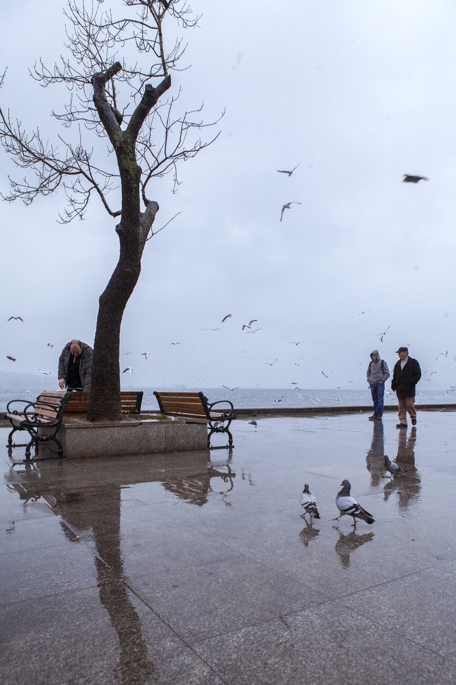 Photograph by Elvira Maksimova