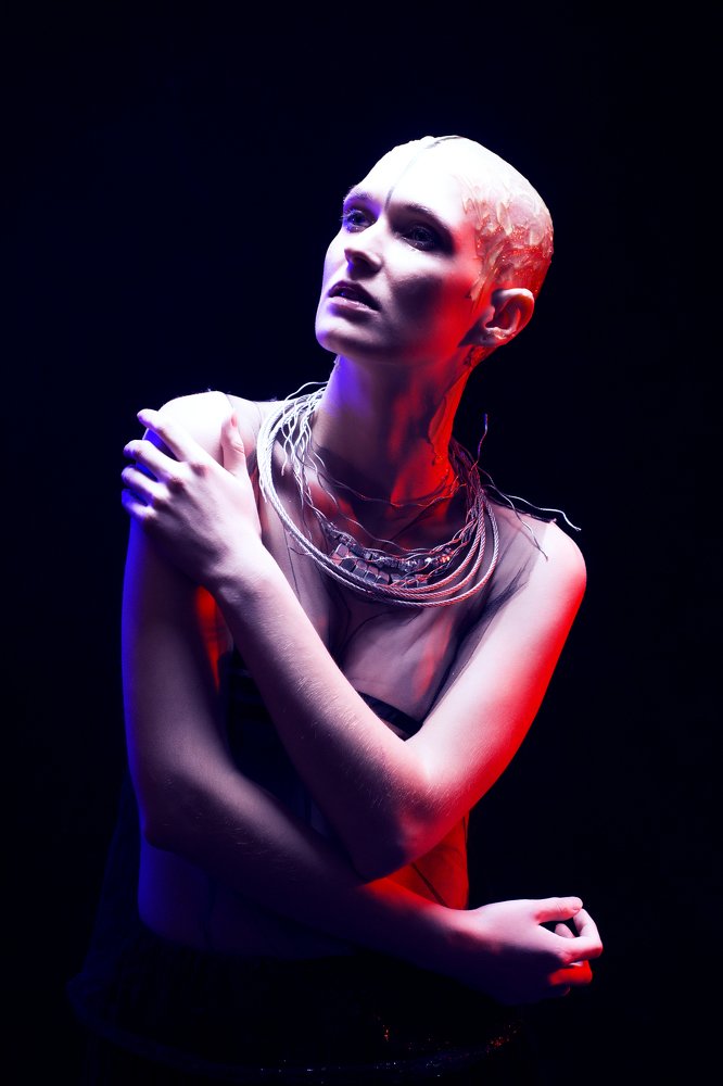 Photo #4420662