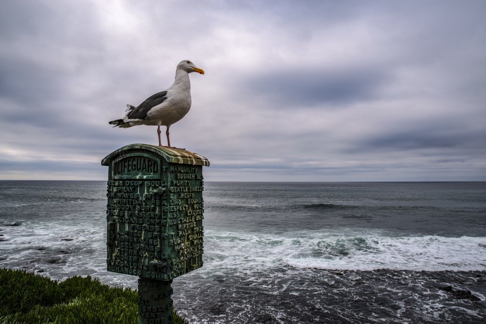 Photograph by Arnold Danilov