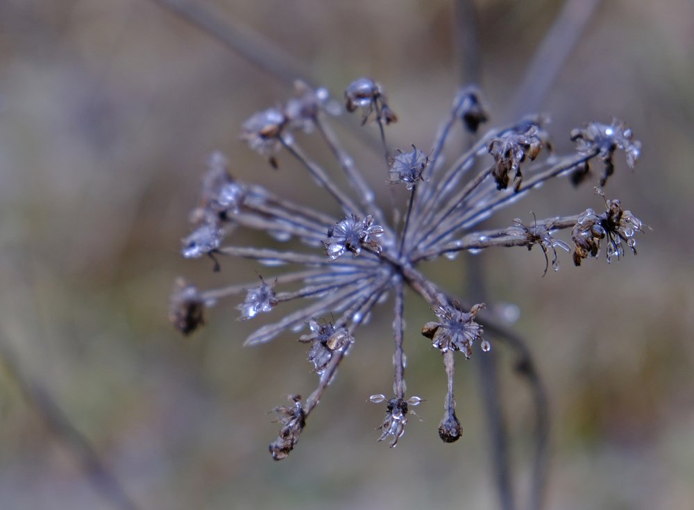 Photograph by Алексей Скиба