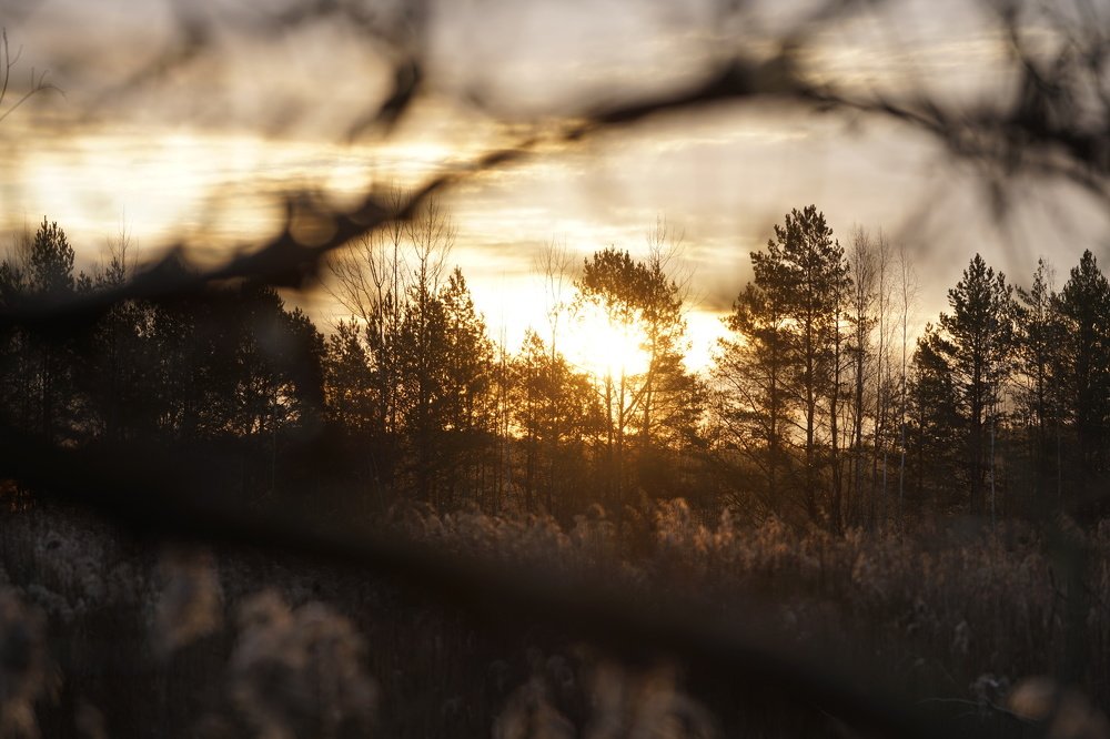 Фотография автора Anton Radtsevich