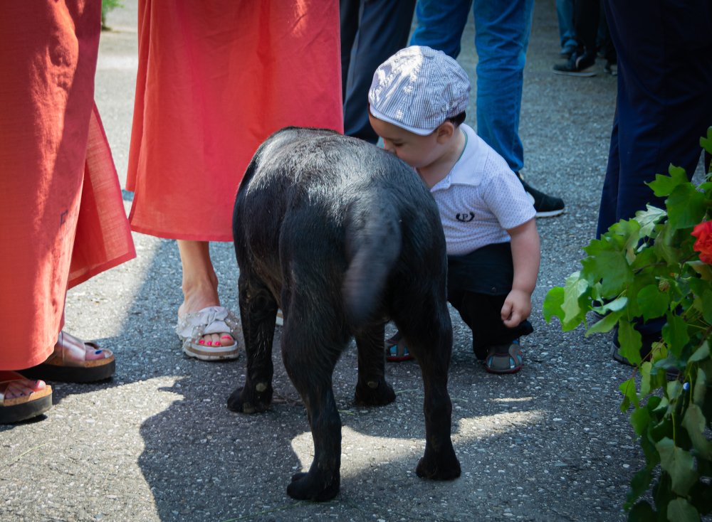 Фотография автора Оксана Белозерская