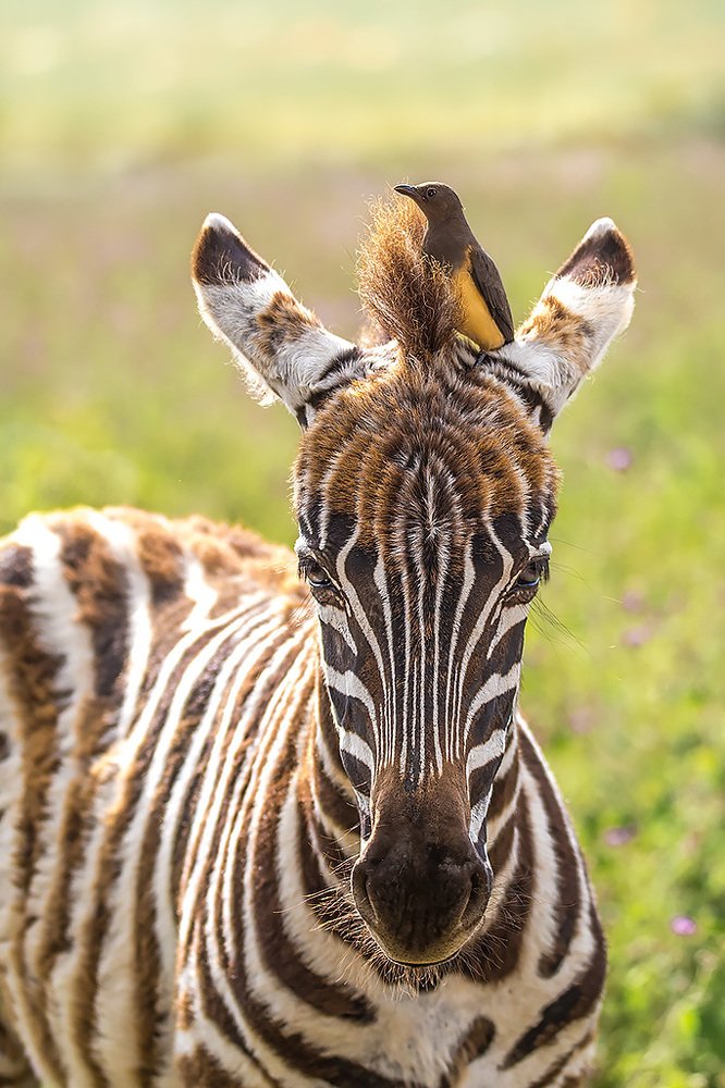 Photograph by Сергей Савви