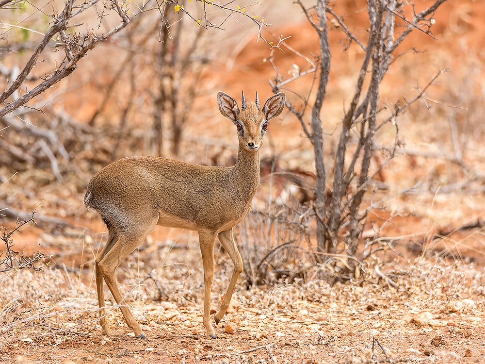 Photograph by Сергей Савви