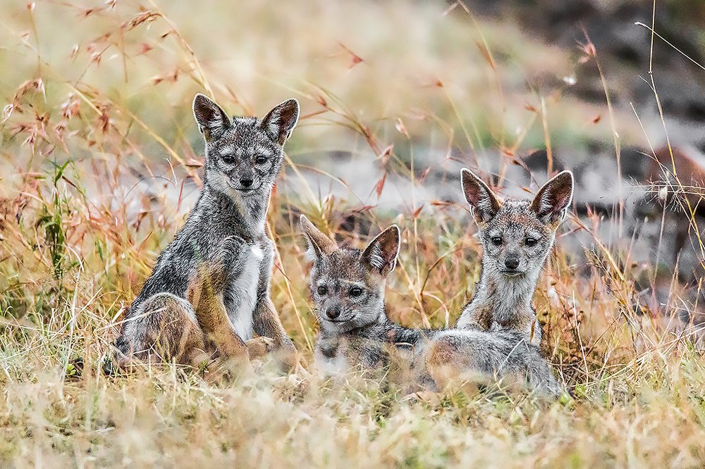Photograph by Сергей Савви