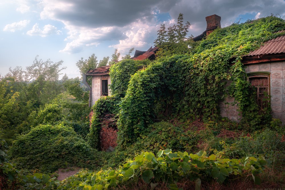 Photograph by Сергей Демидчук