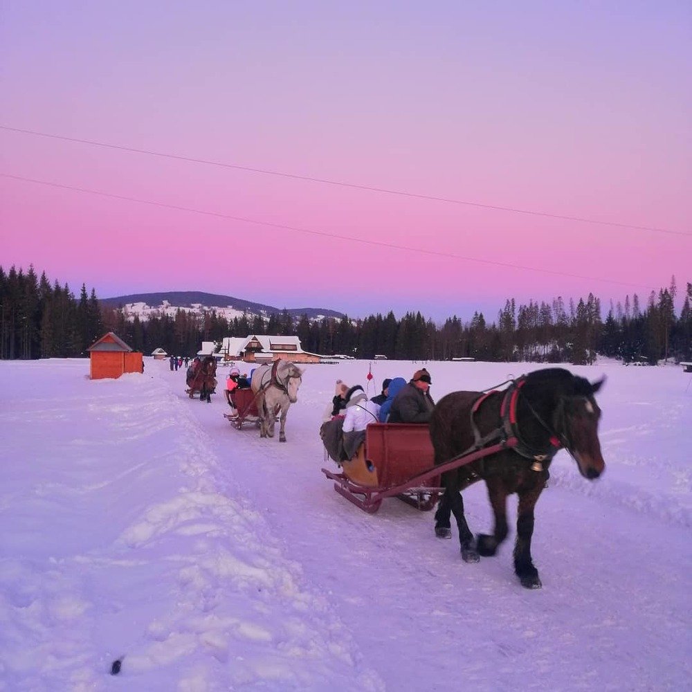 Photograph by Vakula  Sergii