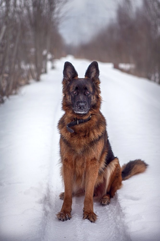 Photograph by Наталия Иванова