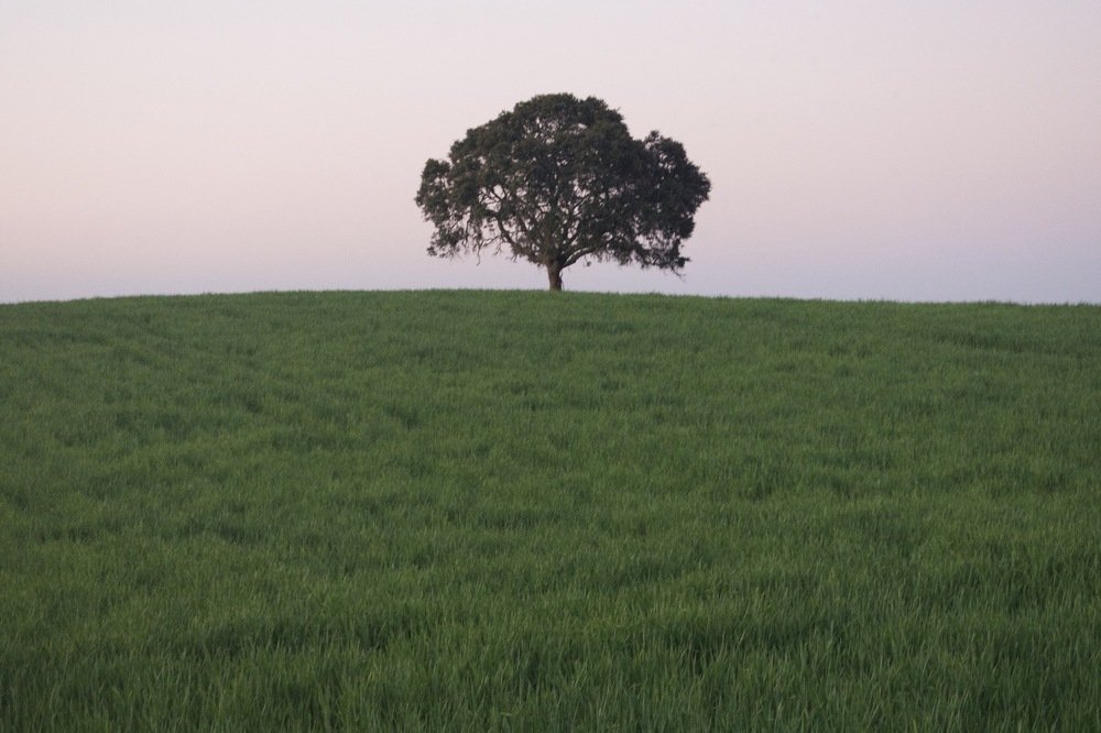 Photograph by Olga Pereira