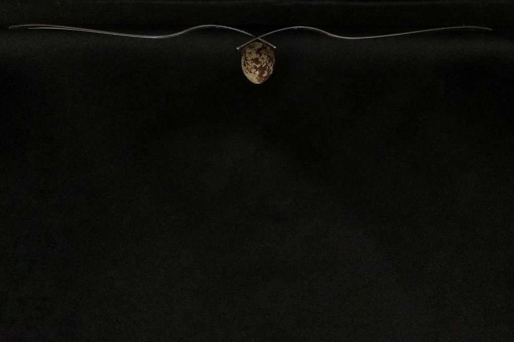 Равновесие