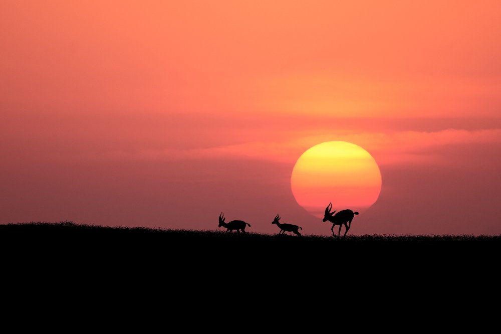 Photograph by Amir Tourang