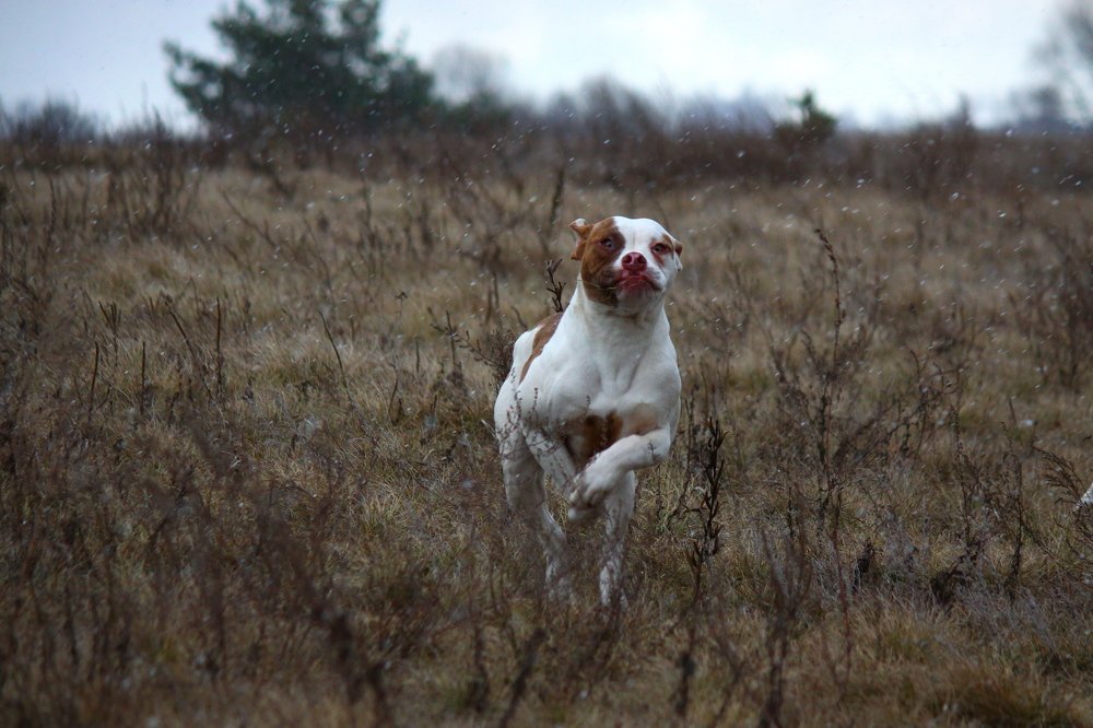 Photograph by Олег