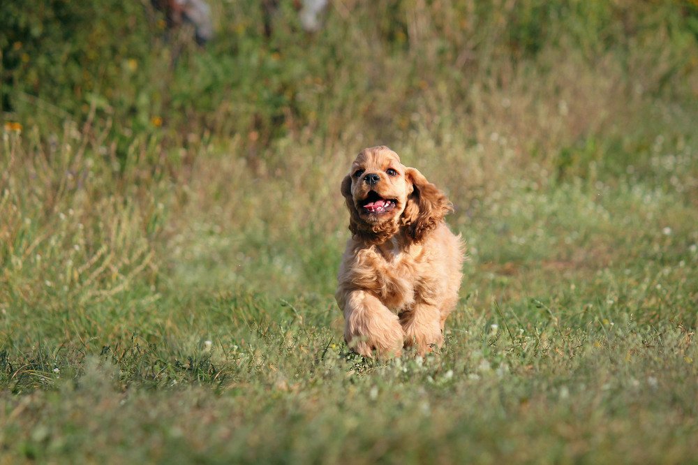 Photograph by Олег