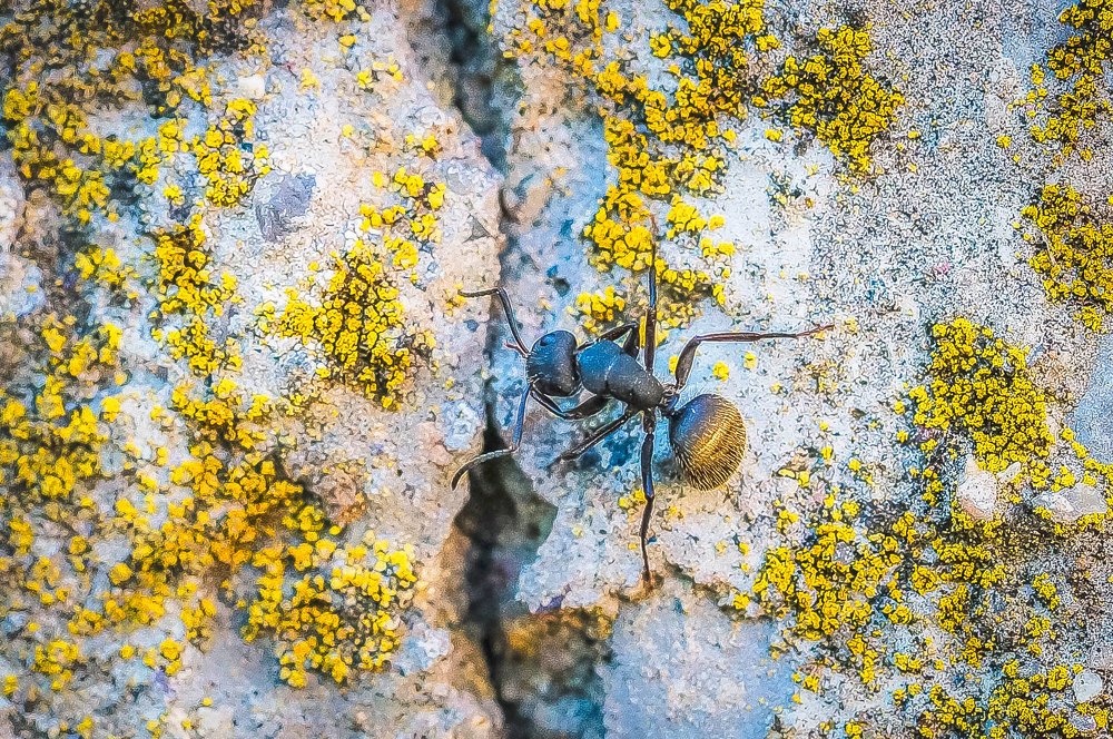 Photograph by Karina Elena Bergagna