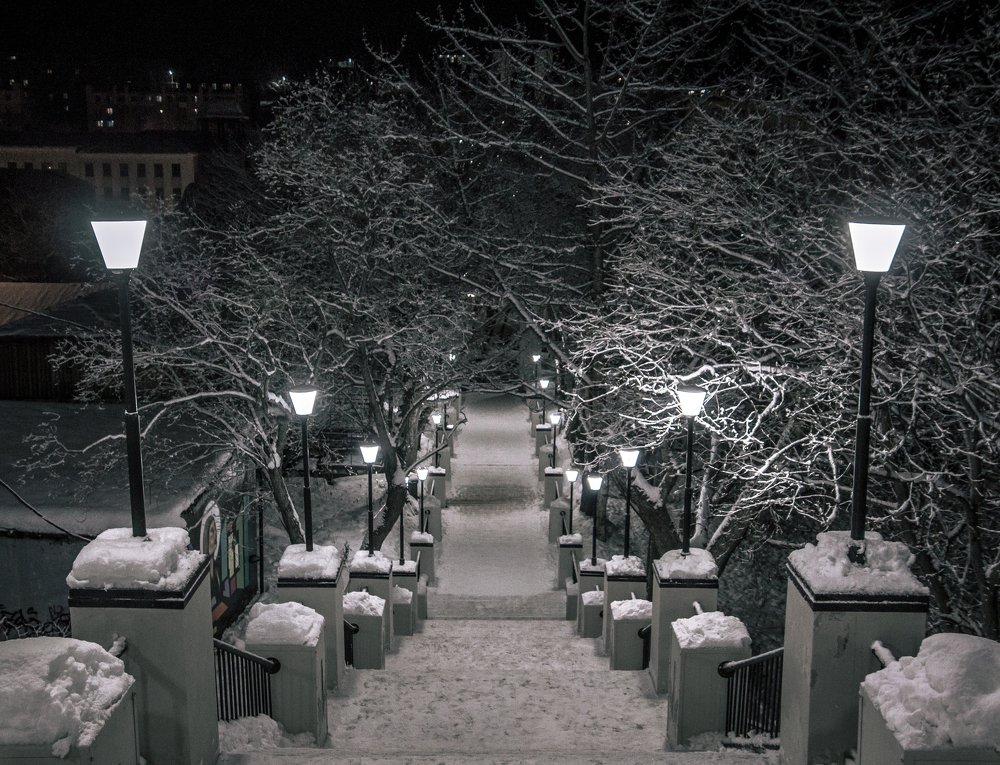 Ночной Парк.