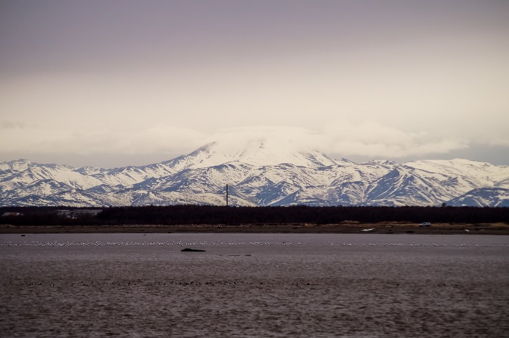 Photograph by Виктор Сёмушкин