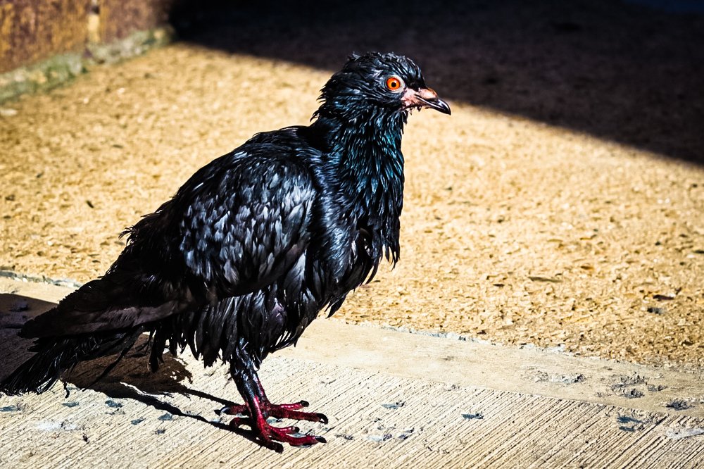 Photograph by Andy Rivera