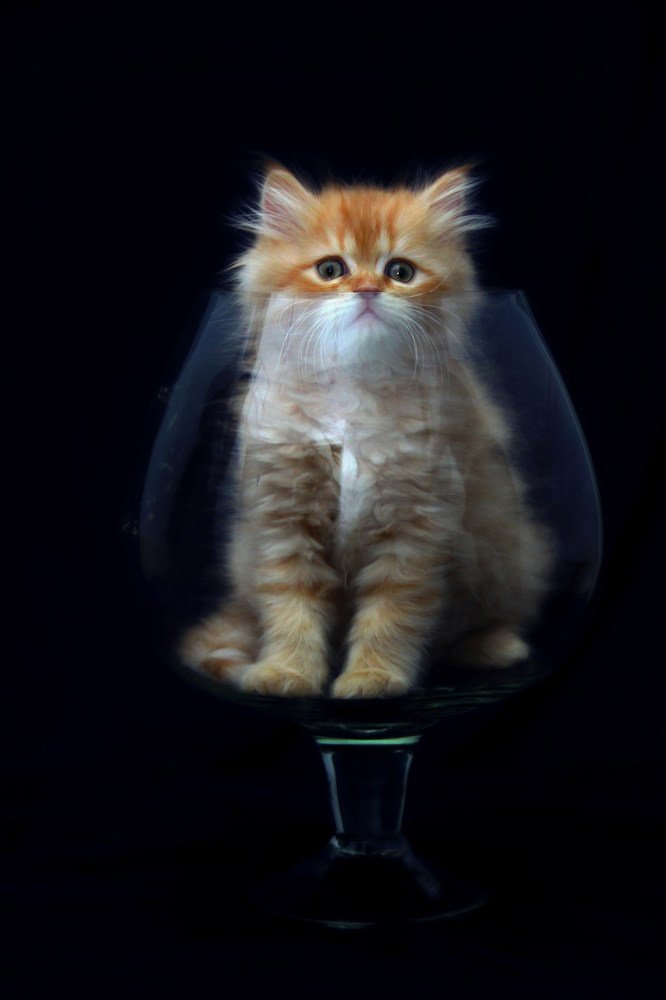 Photograph by Олег