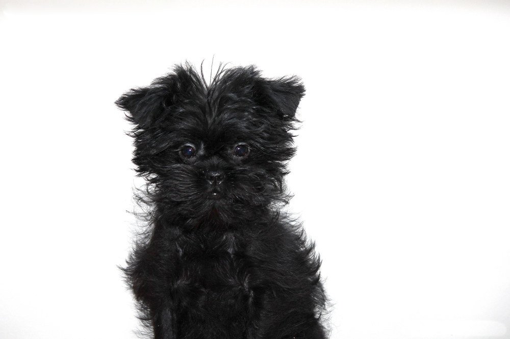 Photograph by Олег