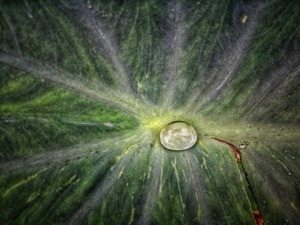 Photograph by Nunong Tindin