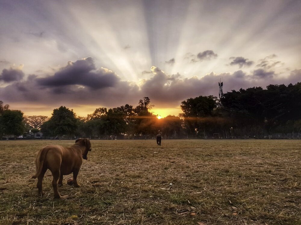 Photograph by Maria Eugenia Jule
