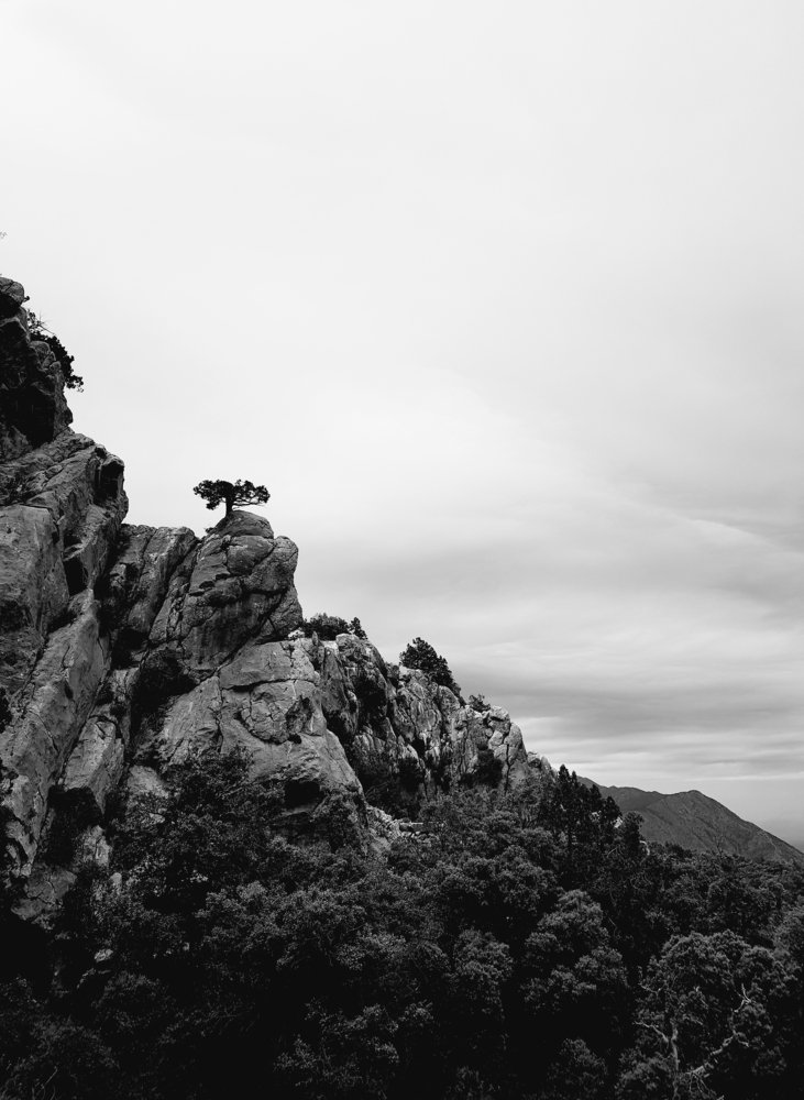 Photo #4421513