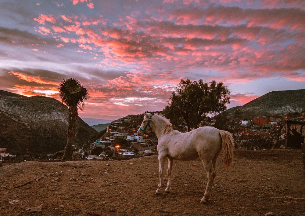 Photograph by Francisco Flores