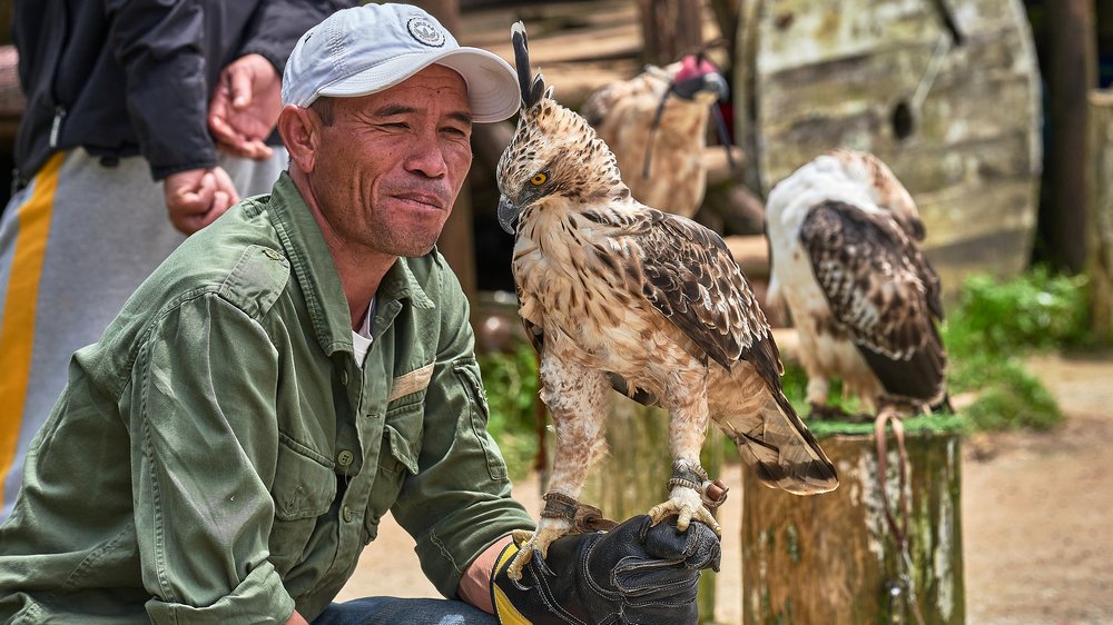 Сокольничий