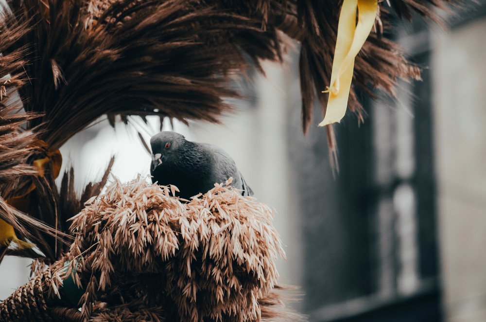 Photograph by Алаа Насраллах