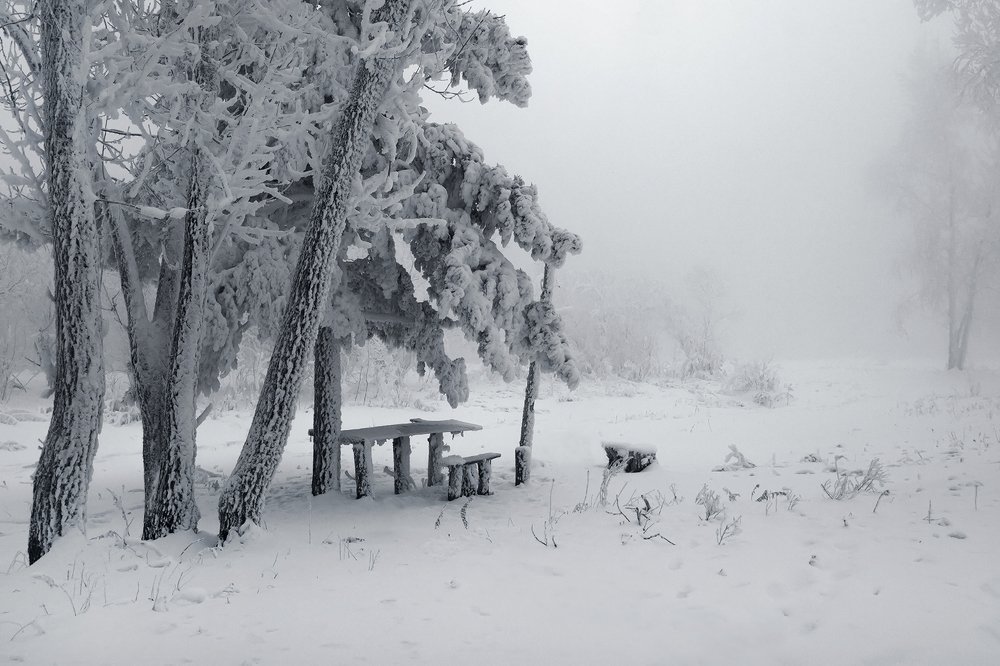 В ожидании...