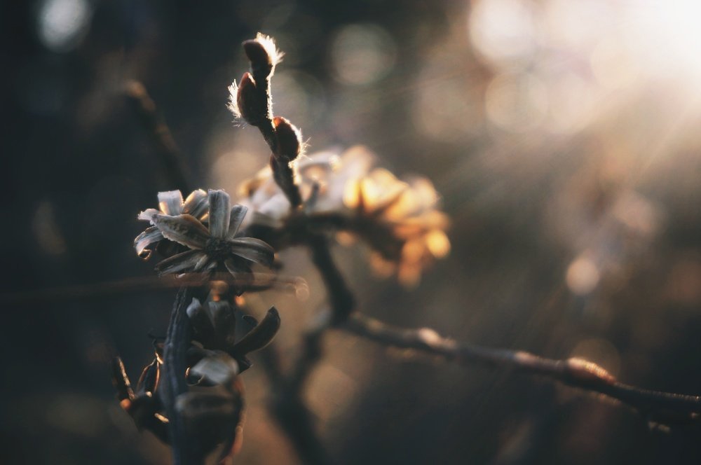 Photograph by Юлия Авсеенко