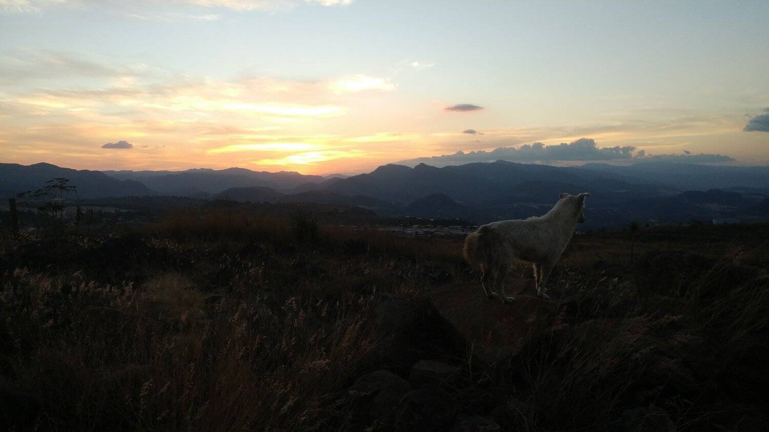 Photo #4421741