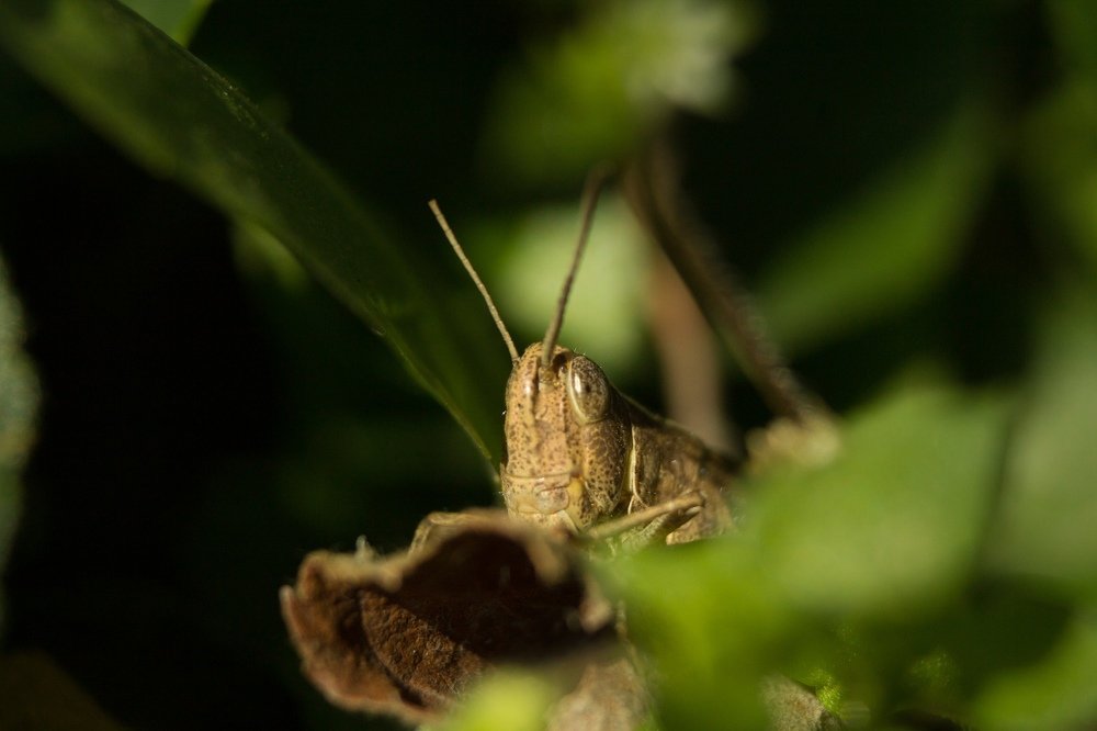 Photograph by Екатерина Петрова