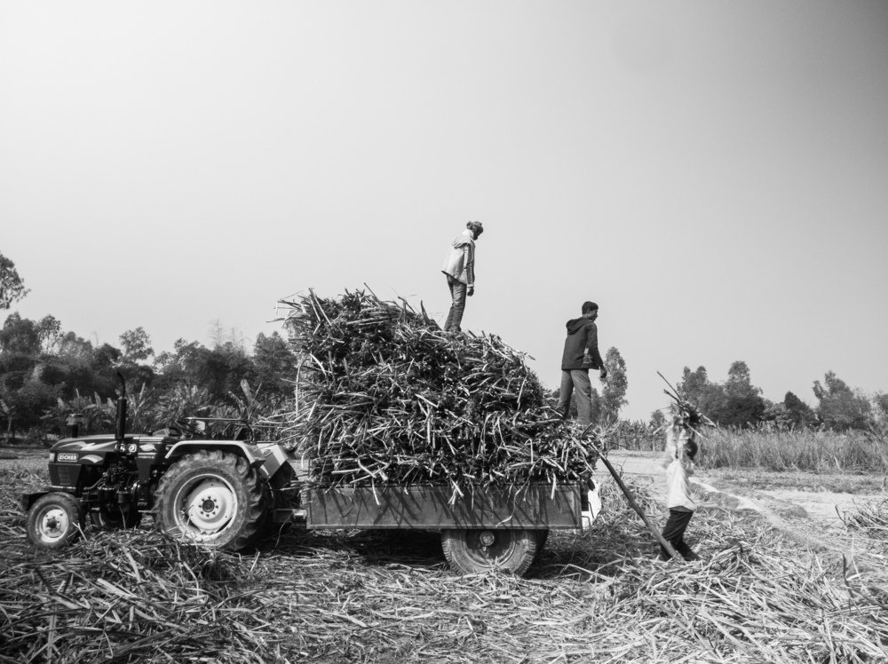 Photograph by Md Abu Sayeed Mondal