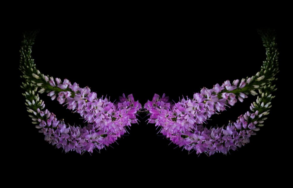 Masking Nature