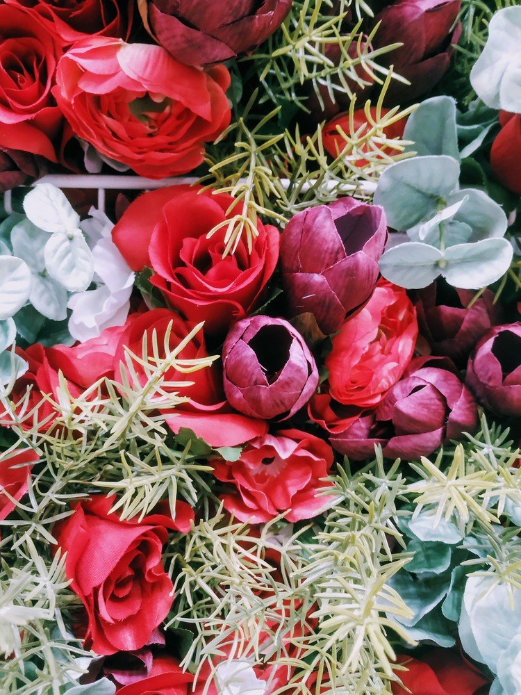 Photograph by Кильпио Антонина