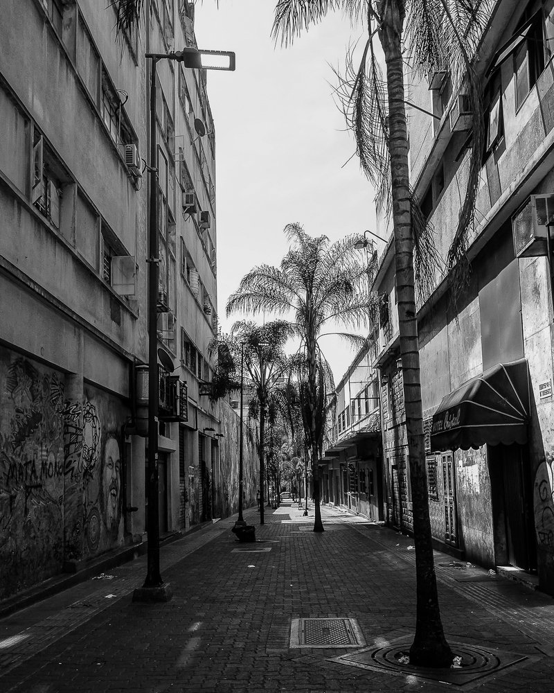 Photograph by Aquiles Trujillo