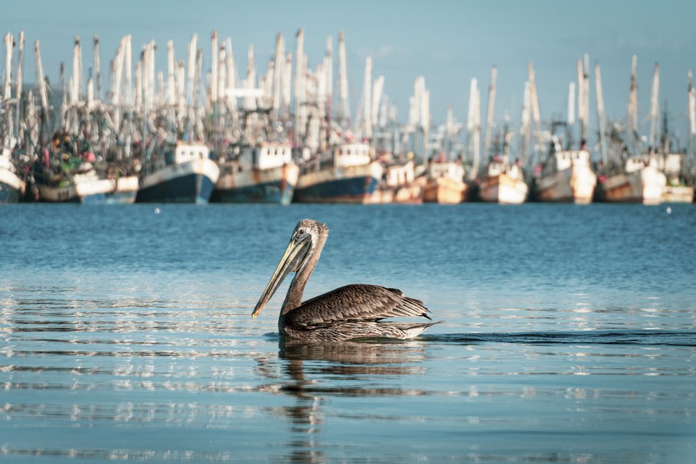 Photograph by Lopez Aguirre Fernando