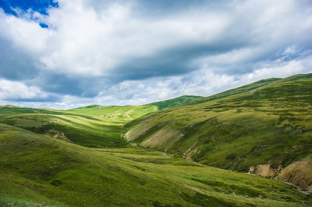 Photograph by Елена Гребенникова