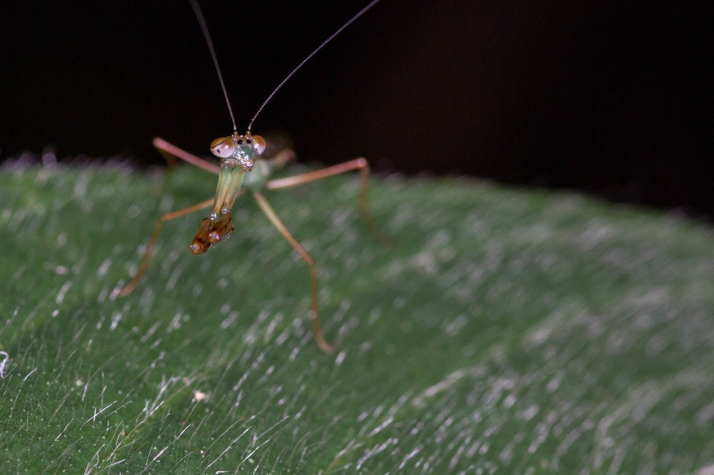 Photograph by Iranga Paranagama