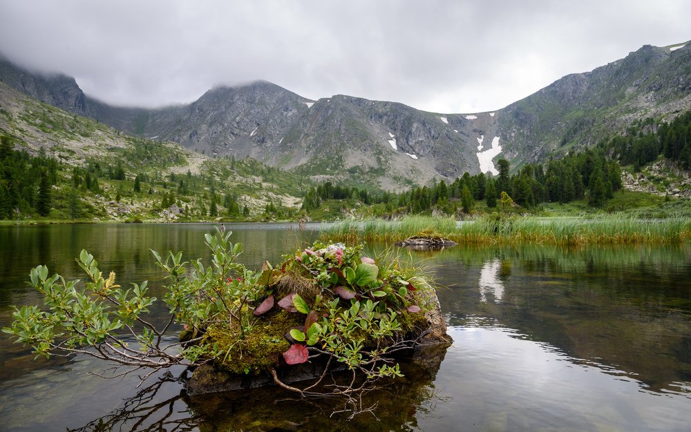 Photograph by Михаил Пучков